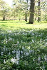 Killikus&reg; Fotographie